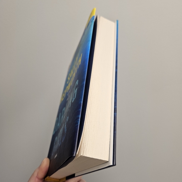 BOGO Books: "Darling Girls" Hardcover Book by Sally Hepworth - Picture 2 of 11